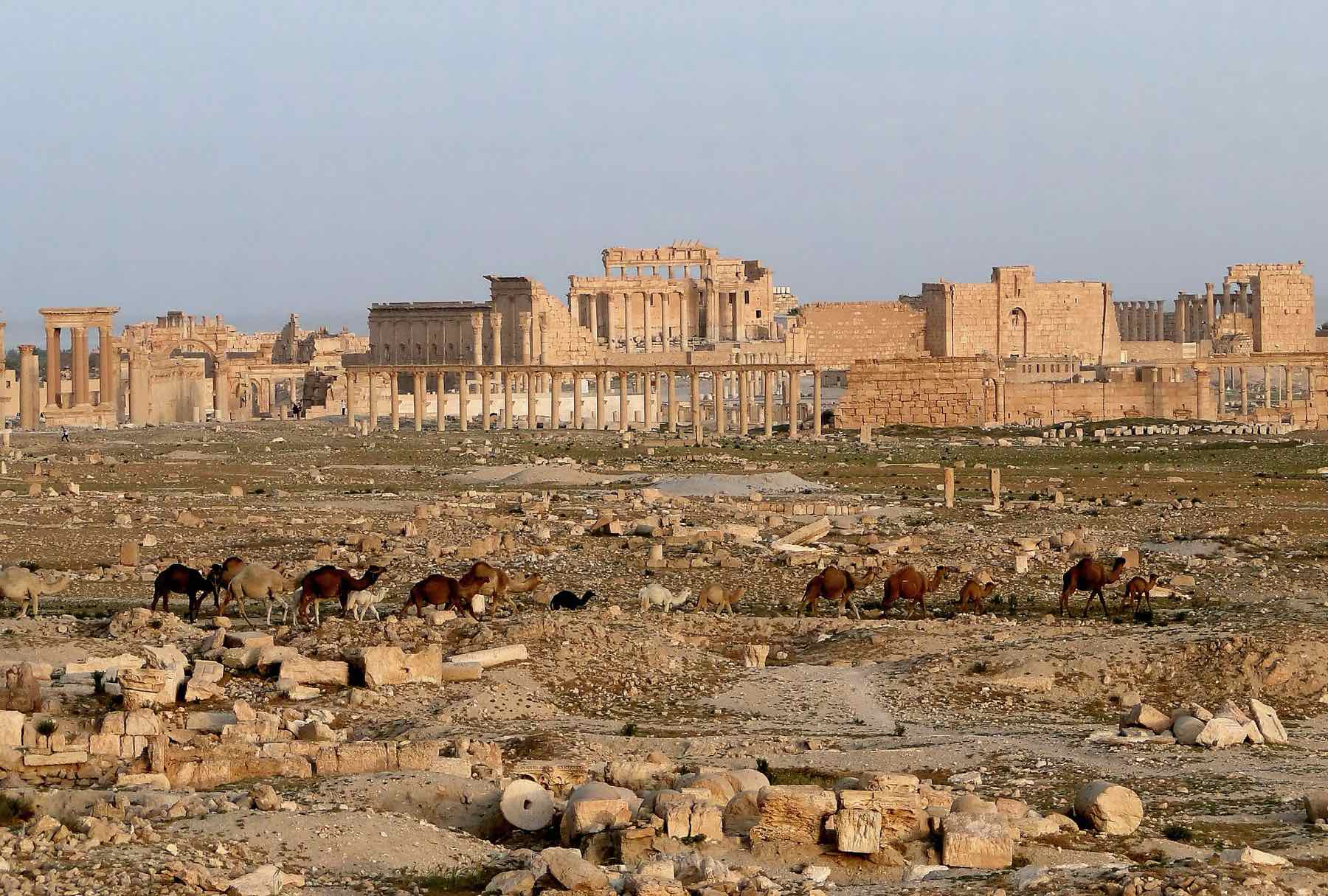 Colonnade of Palmyra