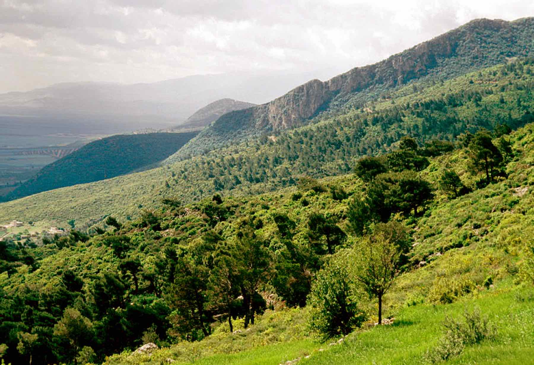 Coastal mountain road near Latakia